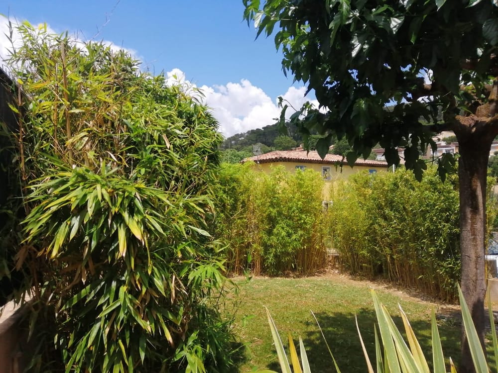jardinet reyz.jpg