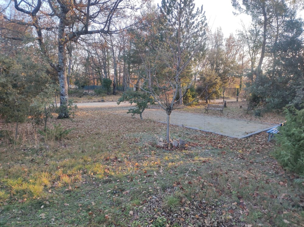 IMG_20241211_162130.jpg