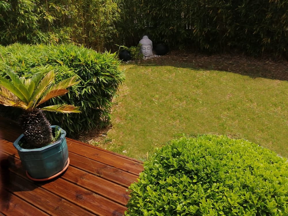 coin terrasse jardinet reysz.jpg