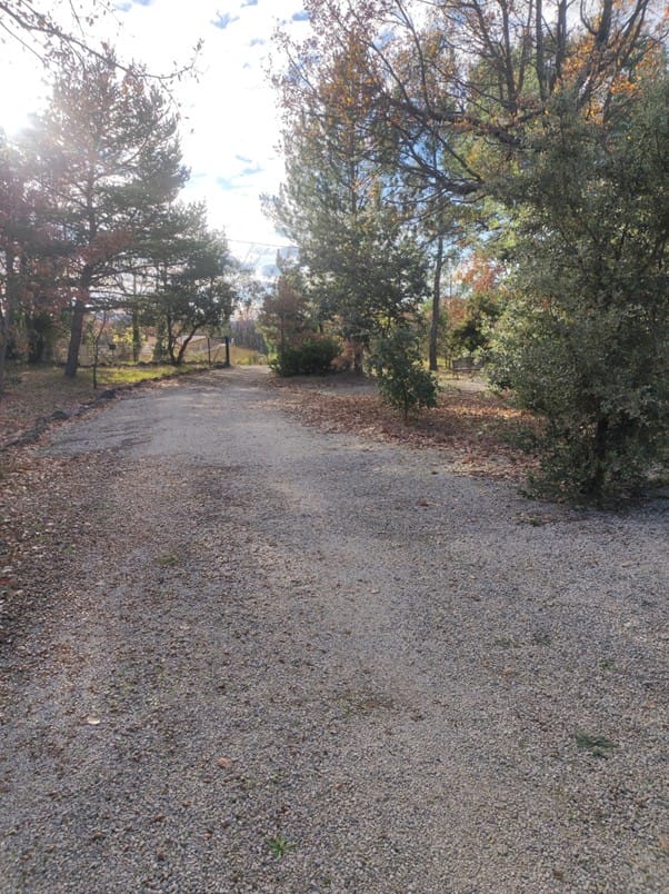 Image3.jpg