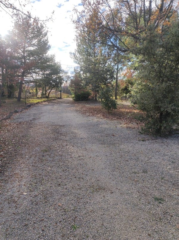 Image3.jpg