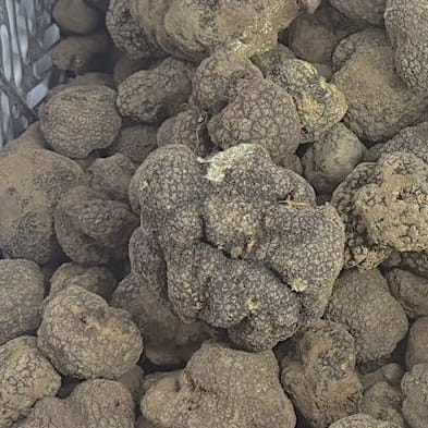 a43605e6-d51c-4247-8b29-76396a998a8d copy.JPG