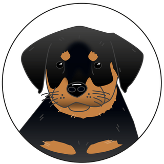 Luke Martin Avatars_Reggie.png