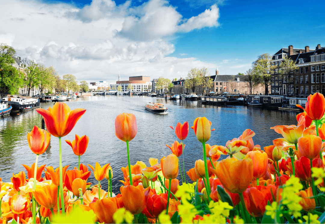 Cost efficient oncall.png