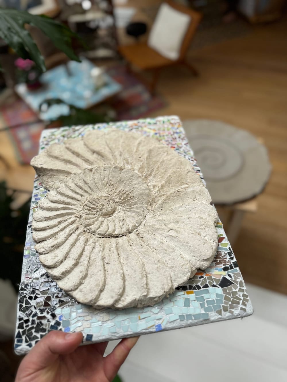 Lampe_Ammonite_02.jpg
