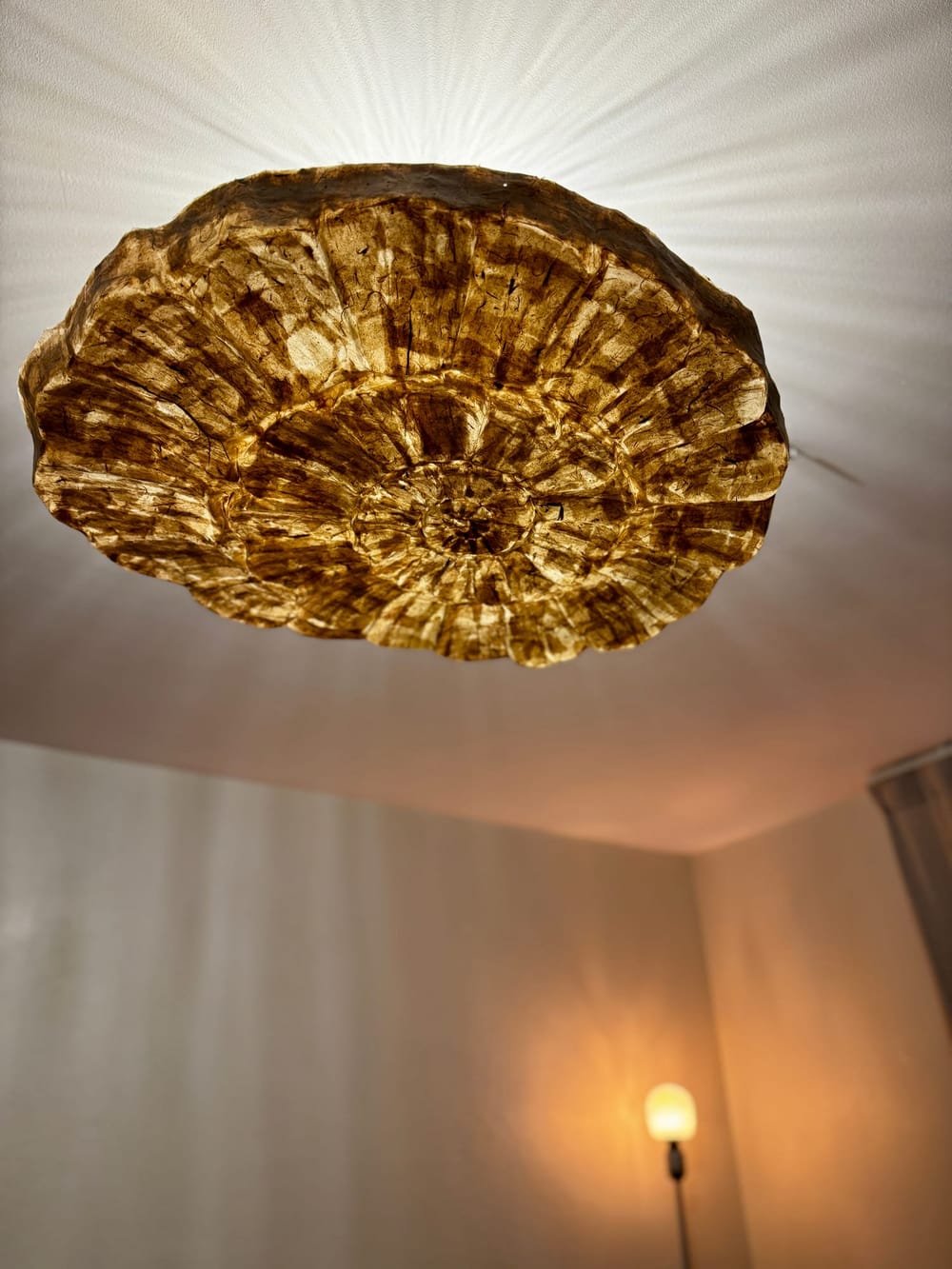 Lampe_Ammonite_11.jpg