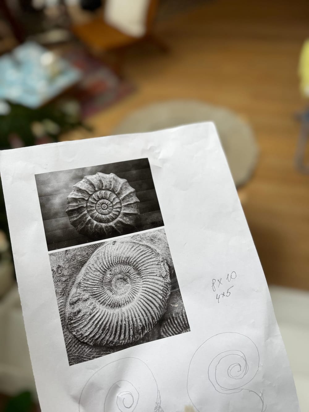 Lampe_Ammonite_01.jpg
