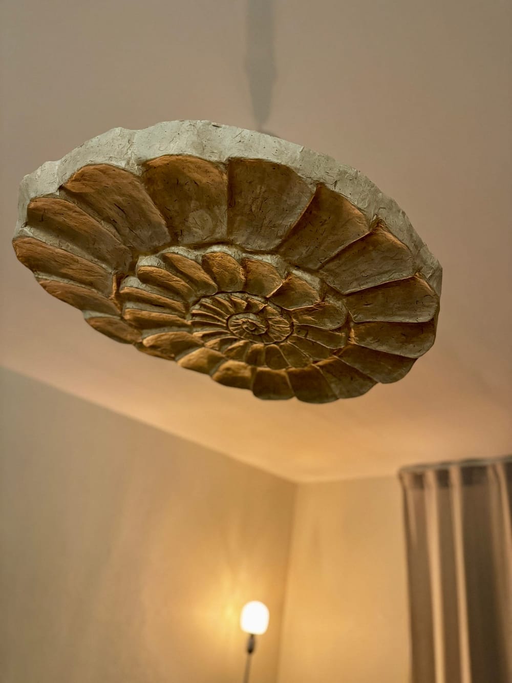 Lampe_Ammonite_08.jpg