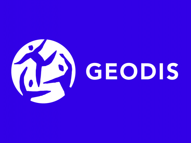 geodis_dans_le_top_100_des_prestatai_314778_a.png