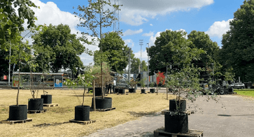 Screenshot 2025-07-16 at 09.04.21.png