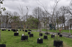 Screenshot 2025-05-25 at 08.07.36.png