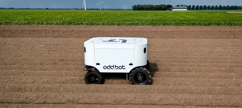 Maverick Elsevier.webp