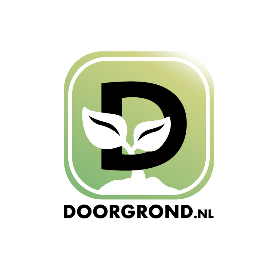 Logo Dealer 1000x1000.png